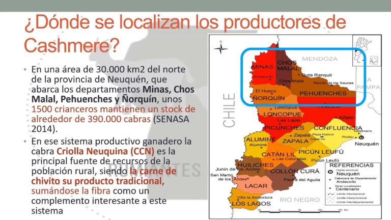 Guía de Productos Recomendados para Cuidar la Cachemira