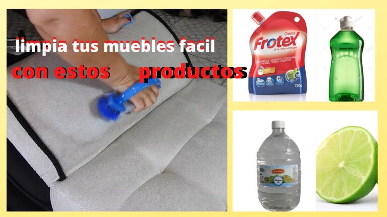 Inicio