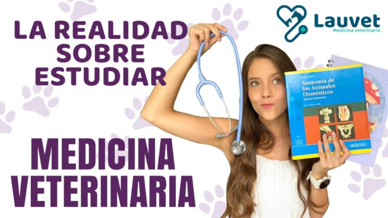 Inicio