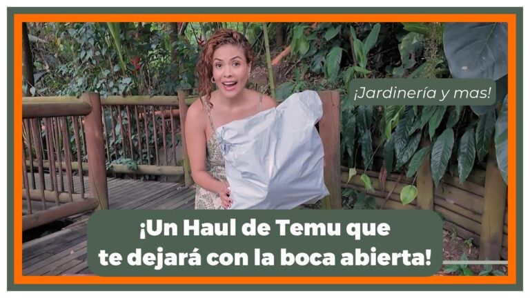 Inicio